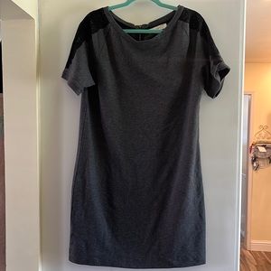 NWT Loft dress